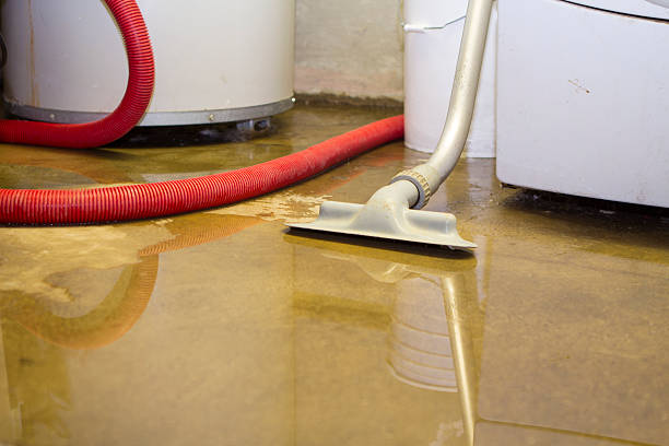 Best Water damage restoration experts  in Shelton, NE