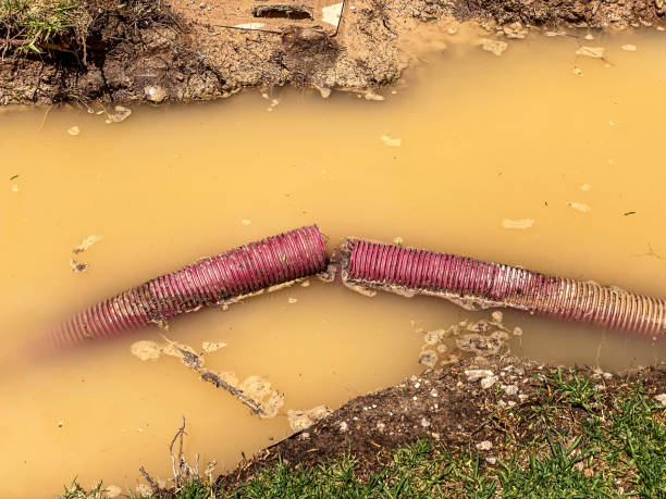 Local water damage restoration in NE