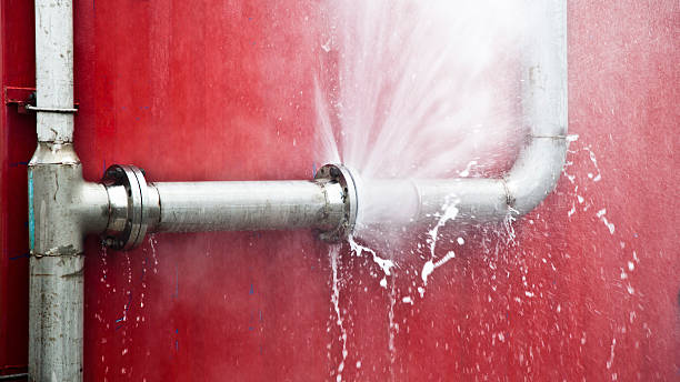 Best Water damage repair service  in Shelton, NE